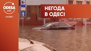 Ночная непогода в Одессе повалила деревья и затопила улицы