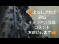 【歌ってみた】誓い jacのテーマ   真田広之　covered by ドトルーマン