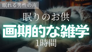 【眠りのお供】画期的な雑学 1時間【睡眠導入】