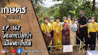 เกษตรสนามเป้า EP.162 | โครงการปลูกป่าเฉลิมพระเกียรติ | เสาร์ที่ 23 พฤษภาคม 2563