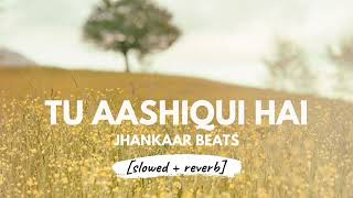 Tu Aashiqui Hai (Slowed Reverb) 90's Hindi Romantic Songs | Lofi | Reverbation | Loffisoftic