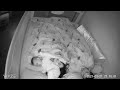 baby monitor captures parents switching places to trick their baby