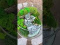 handmade plants растения флористика plant творчество флорариум diy подаркиспб моссариум