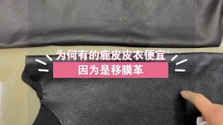 市面上惊现低价位移膜鹿皮皮衣，滴水实验鉴别鹿皮皮衣品质