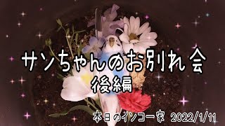 サンちゃんのお別れ会・後編