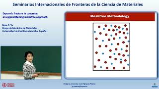 SFCM 17/18 5: Dynamic fracture in concrete:  an eigensoftening meshfree approach