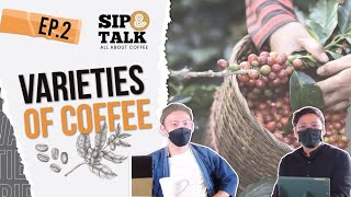 Varieties of Coffee สายพันธุ์ของกาแฟ - Sip & talk [EP 2]