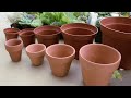 pots for succulents how to choose a size