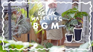 【BGM】毎日の水やりを音楽と共に | 観葉植物と暮らす日常