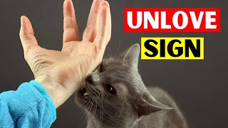 14 Signs Cats HATE (#10 Might Surprise You)