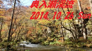 奥入瀬渓流と十和田湖の紅葉？