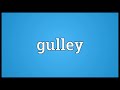 gulley meaning