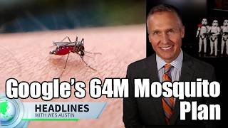 Google’s 64 Million Mosquito Plan Has People Asking Questions