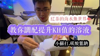 如何自製小蘇打水來有效的提升KH值，海水缸必備的用品「飽和溶液」｜紅茶的海水魚世界