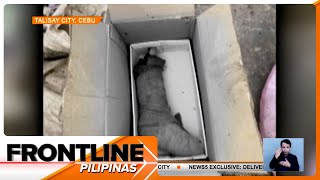 Putol na paa, natagpuan sa kahon sa dump site sa Cebu | Frontline Pilipinas