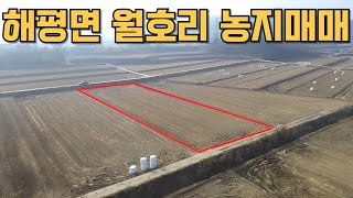 #911 구미시 해평면 월호리 토지매매 865평 1억5,000만원 (경지정리된 반듯한 토지! 주말농장,농지원부용 추천! 구미국가5공단,괴평대교 개통등 호재!)