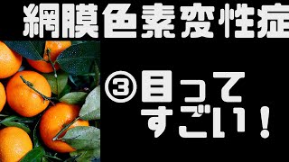 #088 　網膜色素変性症。橘龍之介の場合③　皆さんお気づきではないと思いますが、目ってすごいんです！