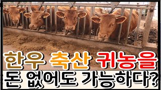 [축산] 한우 돈 없어도 귀농 가능 할까요?  귀농 지원 사업, 보조 사업 지원금 알아보기