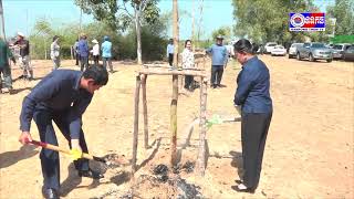 ព័ត៌មានថ្ងៃ១ ១១​ ២២-២, ចូលរួមដាំកូនឈើ មួយដើមក្នុងមួយគូរ និងជំរុញឲ្យមានការដាំដើមឈើឲ្យបានគ្រប់គ្នា