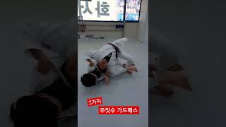 주짓수 가드패스 드릴 2가지 #수원주짓수 #화서주짓수 #주짓수 #agapbjj #jiujitsu #bjj #guardpass #가드패스