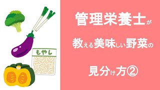 【美味しい見分け方】ねぎ・ブロッコリー・もやし・かぼちゃ・なすの選び方！旬の時期って？