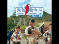 【親親動物月】超親近！動物明星近距離同你見面！