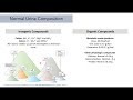 biochemistry of the urinary system