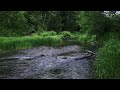 creekside meditation relax by the creek with soothing ambient music