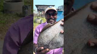 Call 919500800272 | வாவல் (வவ்வால்) கருவாடு தேவைக்கு அணுகவும் #shortsbeta #fish #shorts