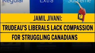 Jamil Jivani: Trudeau's Liberals lack compassion for struggling Canadians