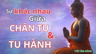 Chánh Niệm-Thế nào là một vị CHÂN TU và một vị TU HÀNH.#chánhniệm #thichminhtuemoinhat.#mindfulness