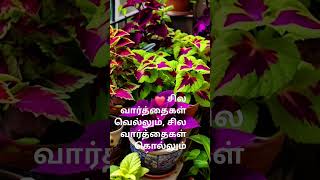 #shorts#ytshorts #motivation #shortsvideo #nature #flowers #tamilsongs