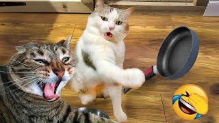 New Funny Videos 2023 🤭  Cutest Catsand Dogs😜🐈