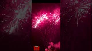 100 Shots HuiYue Sunflower Fireworks Display 🌟🌻 100发辉跃向阳花烟花 - 金色向阳花般灿烂的烟花绽放！