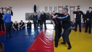 Bujinkan Seminar: Juan Manuel Serrano, Sveneric Bogsäter