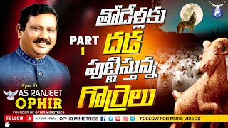 తోడేళ్లకు దడ పుట్టిస్తున్న గొర్రెలు !! | RKP మీటింగ్ | నర్సీపట్నం |  Part-1 | Dr A S Ranjeet Ophir