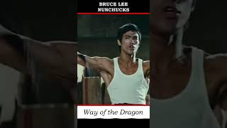 Bruce Lee Nunchucks