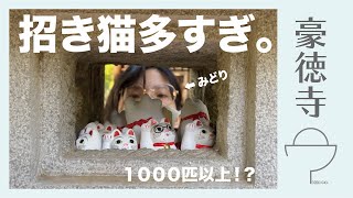 世田谷線をYouTube初心者が行く〜招き猫探し〜in宮の坂駅