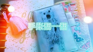 【松鼠菲】近期手账翻一翻 happy planner，自制TN