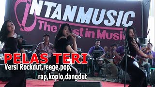 Pelas Teri new versi rock ndut koplo pop Rap dan dangdut dalam 1 cover by Intan Music Lampung