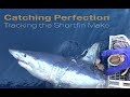 Catching Perfection: Tracking the Shortfin Mako