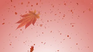 【free(無料素材)】散りゆく紅葉 風に舞う / Maple trees are falling and petals dancing in the wind.