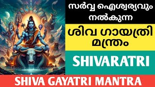 Shiva Gayatri Mantra || ശിവ ഗായത്രി മന്ത്രം || Shivaratri