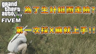 【RHung】GTARP 鋌而走險!第一次採X麻就上手✨