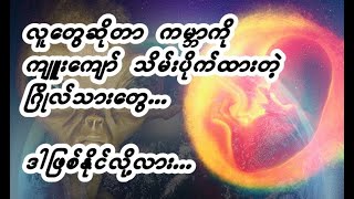 ကျနော်တို့ လူသားတွေဟာ အခြားဂြိုလ်ကနေ လာတဲ့ ဧည့်သည်တွေများလား?