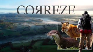 A Winter in Correze: Land Otters, Foxes and Hiking