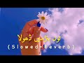 Tu Banse Dhola (slowed+Reverb)#viral #lofi