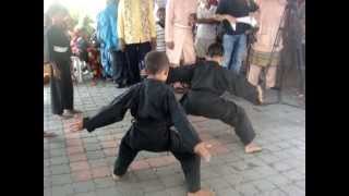 Malay Martial Arts