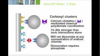 CHT™ Ceramic Hydroxyapatite Resin for Commercial Purification