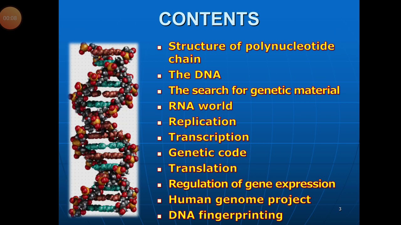 Molecular Basis Of Inheritance, Class 12, Lecture 1 - YouTube